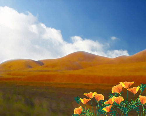 California Gold