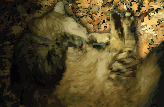 May in Autumn