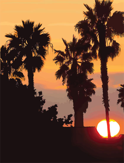 Palm Sunset