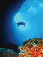 Turtle Light