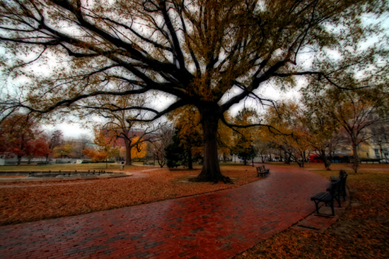 Lafayette Square