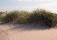 Dunkirk Dunes