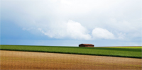 French Field
