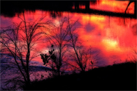 James River Edge