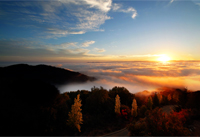 Late Summer Dawn